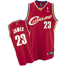 LeBron James Jersey