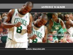 Antoine Walker Wallpaper | NBA Wallpaper | BBallOne.com