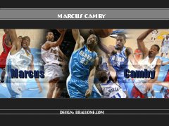Marcus Camby Wallpaper | NBA Wallpaper | BBallOne.com