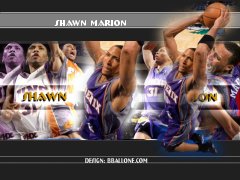 Shawn Marion Wallpaper | NBA Wallpaper | BBallOne.com